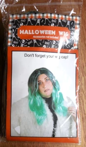 NEW Adult Women's Halloween Costume Wig Long Mint Green w Black Hair - Picture 1 of 3