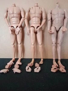 1/6 DID, DRAGON, DRAGON ETC. WW II GERMAN LOT OF THREE BODYSUITS & HANDS - Imagen 1 de 9