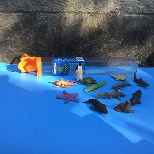 OCEAN TOOB,Safari Ltd, 12pc Toy w. Octopus,Dolphin,Whale,Starfish,Eel,Turtle+++ - Picture 1 of 11