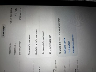 Samsung Galaxy Tab S6 Lite LTE - Bild 1 von 4