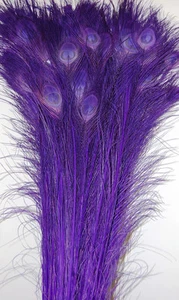 25 Pcs BLEACHED PEACOCK TAILS Feathers 30-35" PURPLE; Bridal/Wedding/Halloween - Picture 1 of 3