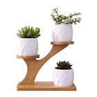Cute Owl Succulent Cactus Planter Flowerpot Set With Bamboo Shelf Tray Decor