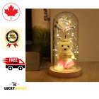 Galaxy Rose Flower Gift with teddy bear,  with LED light string, unique gift