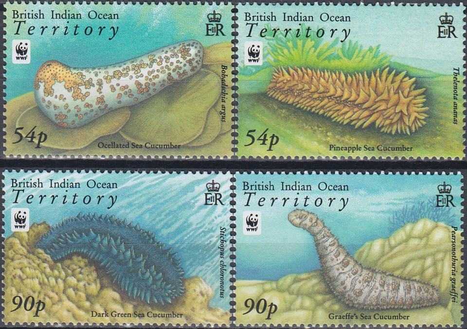 Pepinos de mar Biot WWF 2008 MNH-13 euros Foto 1 de 1