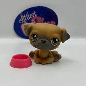 PUG DOG #2 W/ Accessory - Authentic Littlest Pet Shop - Hasbro LPS - Picture 1 of 5