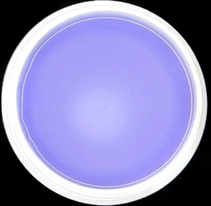 50ml HQ 1 Phasen Gel Allroundgel 3in1 UV Nail, mittelviskos, transparent, klar