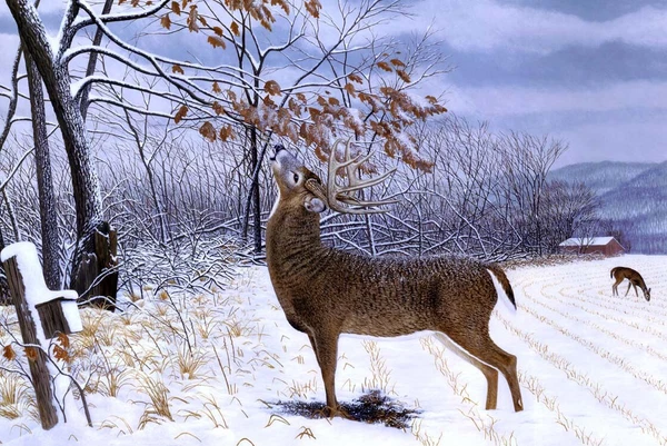 Art Deer in the Snow Oil painting Giclee Art HD Printed on canvas L