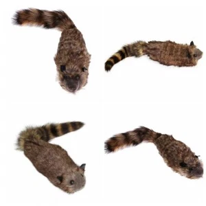 Accesorios de mago mapache rocoso mapache mágico trucos de magia educativos - Imagen 1 de 11