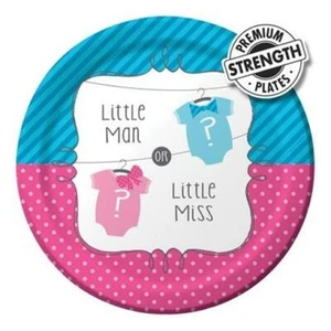Baby Shower Bow or Bowtie? 9-inch Plates Paper 8 Pack Gender Reveal Decorations - Picture 1 of 2