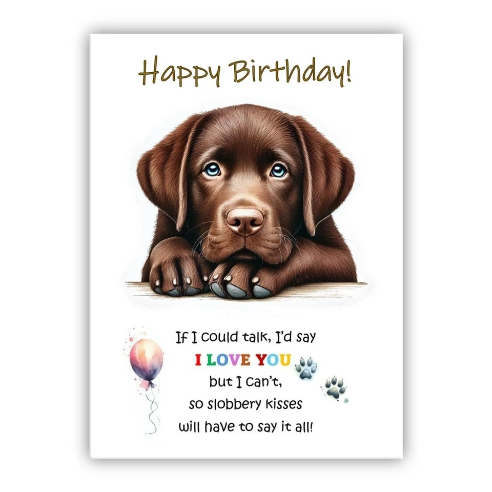 Birthday Card from the dog. Chocolate Labrador Birthday card. Dog Lovers Card. - Image 1 of 1