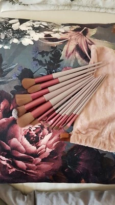 13 Make Up Pinsel Schminkpinsel Tasche Neu Pinsel Set - Bild 1 von 4