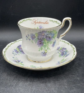 Tea Cup & SaucRosina Queen's Special Flowers - September - Blue Aster Fine China - Picture 1 of 18