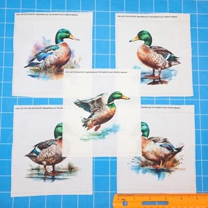 5 Piece 4"x4" Ducks 100% Cotton Quilting Sewing Fabric Panel Blocks - MP175 - Picture 1 of 5
