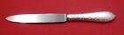 Martele By Robbe & Berking German Sterling Silver Dinner Knife Pointed 9 1/2"