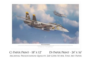 Fear the Bones F-14A Tomcat - Paper Print by Craig Tinder - Picture 1 of 2