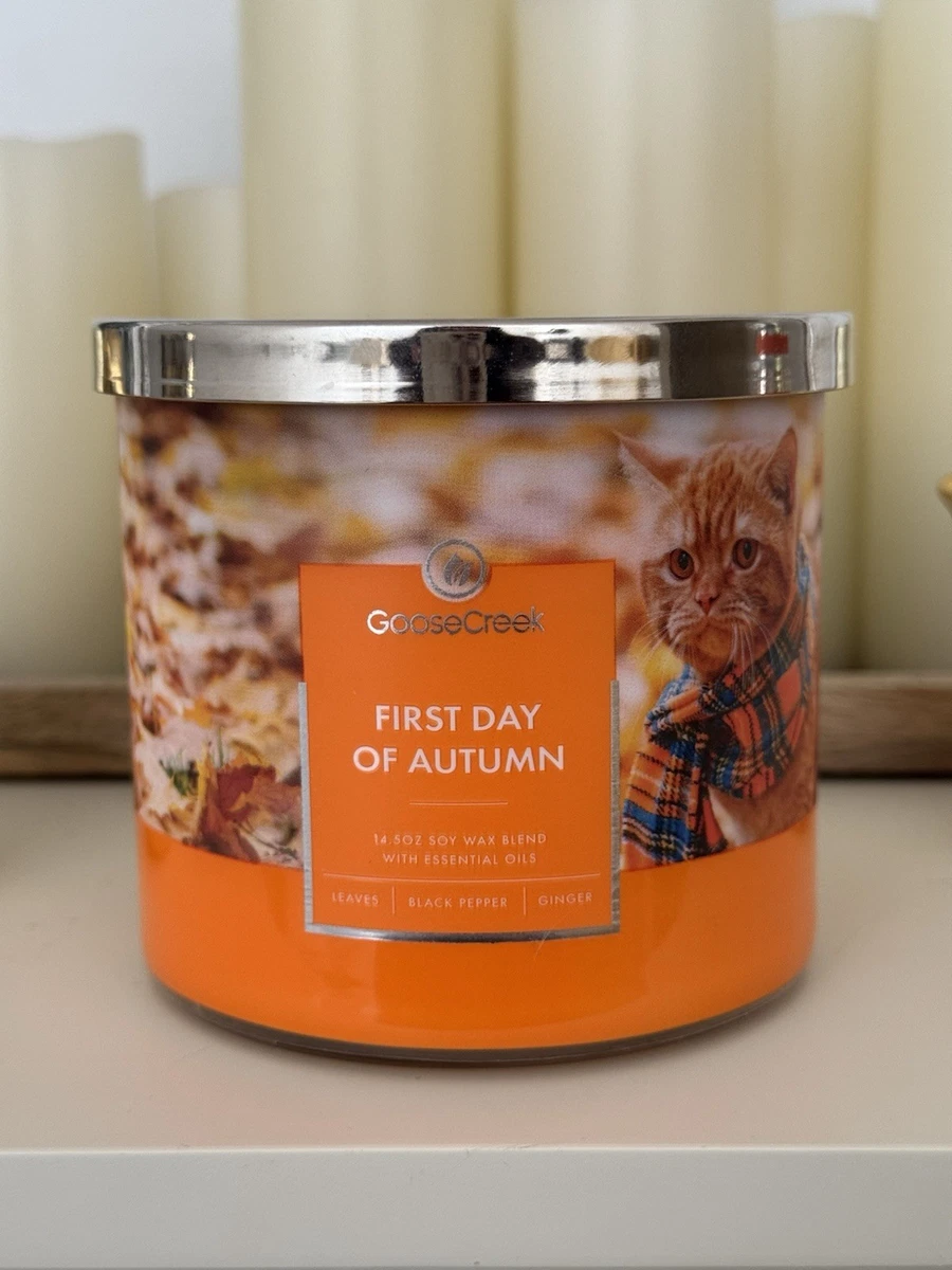  creek candle キャンドル　2芯　ジャー　グース　クリーク goose creek candle キャンドル 2芯 ジャー グース クリーク