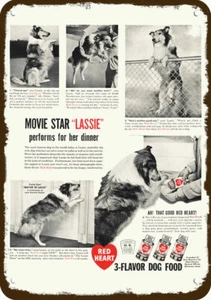1948 LASSIE Collie Hund liebt rotes Herz Vintage-Look DEKORATIVES REPLIKAT METALLSCHILD - Bild 1 von 1