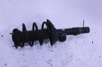STRUT SHOCK 2017 TLX 1424489 Foto 1 de 4