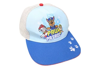 NICKELODEON Cap Boy's 54/56 Blue/Grey Logo Snapback - Picture 1 of 16