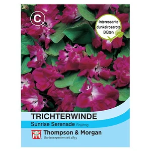 Thompson & Morgan Blumensamen Trichterwinde Sunrise Serenade - Bild 1 von 3