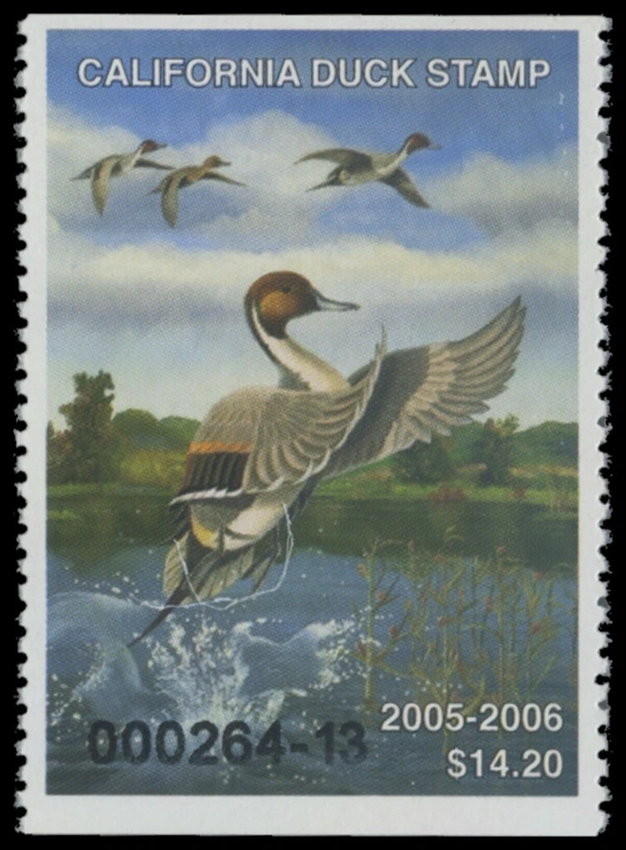 2004  California State Duck Stamp Mint Never Hinged. Original Gum  - Image 1 of 1