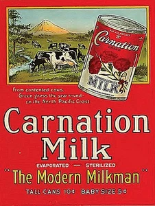 Cartel De Acero De Leche Carnation 300Mm X 230Mm (Ogu) - Imagen 1 de 1