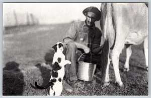 Postcard Cat Drinking Milk From Cow Frank Hohenberger Indiana I10 - Picture 1 of 2