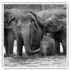 2 x Square Stickers 10 cm - Adorable Elephant Family Fun  #39474