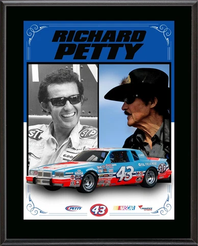 Richard Petty Sublimated 10.5x13 Stylized Composite Plaque - Fanatics Cover