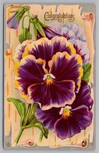 Postcard Congratulations Flowers Pansies Posted 1914 Hood River OR to Bucoda WA - Picture 1 of 2