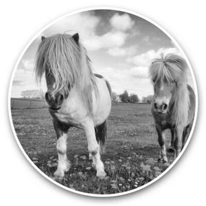 2 x Vinyl Aufkleber 20 cm (BW) - Shetland Ponys Pferd Tiere süß #41200 - Bild 1 von 8