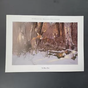 1992 MN Deer Hunters Association estampado del año - The Magic Hour - VER NOTAS - Imagen 1 de 2