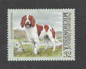 Sello postal retrato corporal arte perro Springer Spaniel galés Micronesia MNH - Imagen 1 de 1