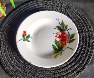 Antique Floral Multi Color Iron Enamel Plate Old Kitchenare Decorative IE160 - Picture 1 of 9