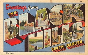 BLACK HILLS South Dakota Large Letter Greetings c1940s Linen Vintage Postcard - Picture 1 of 1