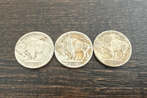 Lot Of 3 Buffalo Nickels Coin Set 1919 1923 & 1934 Five-Cent Nickels Cover