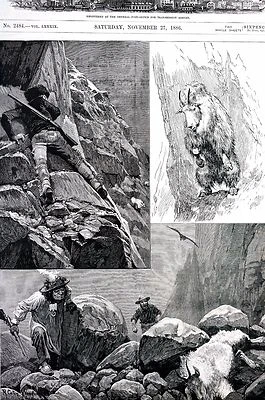 Rocky Mountains HUNTING WILD GOATS HUNTERS Indian Guide 1886 Old Matted Print - Image 1 of 4