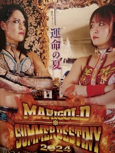MARIGOLD Event Poster Giulia vs Sareee(SARRAY) 515mm×728mm WWE NXT STARDOM - Picture 1 of 7