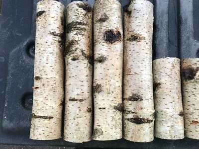 Decor Logs  - Image 1 of 4