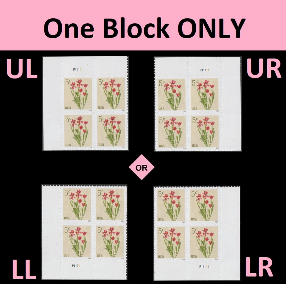 US 5900 Flowers Red Tulips 5c plate block 4 MNH 2024 - Image 1 of 1