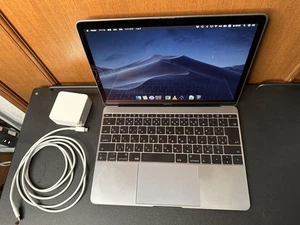 Apple MacBook 2017 12" Retina i5 1.3GHz 16GB RAM 250GB SSD Space Gray - Picture 1 of 4