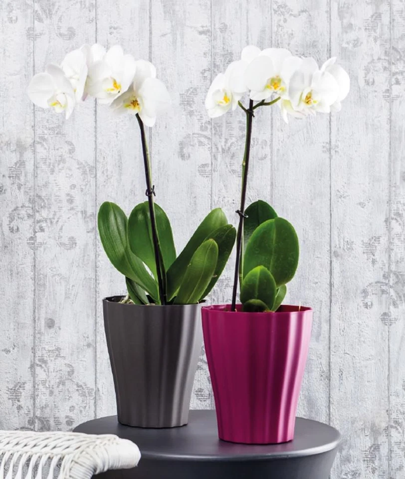 Orchideentopf Orchideenübertopf Übertopf Ø 16 und 13 cm - Bild 1 von 4