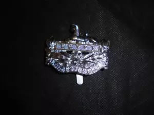Genuine issue British Army Gloucestershire Regiment Cap Badge - Picture 1 of 2