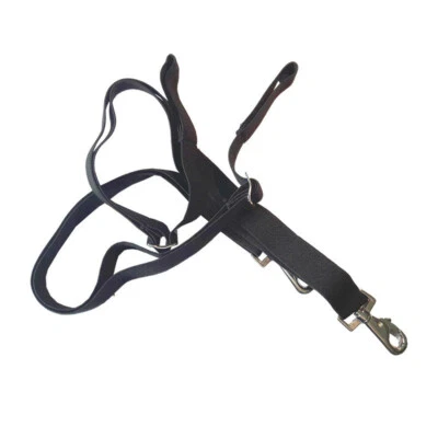 % Kavalkade Beinschnüre Beingurte ELASTISCH Karabinerhaken Einheitsgröße -NH
