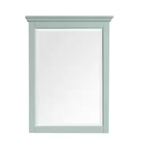 Home Decorators Collection 19115-M24-LG Fallworth 24" B x 32" H Kosmetikspiegel - Bild 1 von 4
