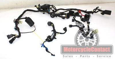 13-17 YAMAHA FZ6R MOTOR PRINCIPAL ARNÉS CABLEADO VIDEO! MOTOR CABLE ELÉCTRICO Foto 1 de 4