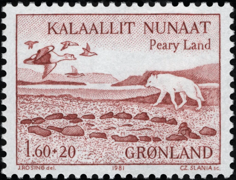 Groenlandia #Mi130 MNH 1981 Peary Land Zorro Polar Vulpes Aves [B9 YT118] Foto 1 de 1