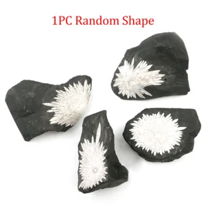 1pc Random Natural Chrysanthemum Stone Crystal Raw Quartz Aura Mineral Healing - Picture 1 of 18