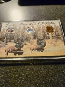 2005 American Bison Nickel Collection Colorized Holographic 24k Gold Plated UNC - Picture 1 of 2