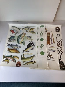 4 Vintage Smokey The Bear USDA Educational Forest Service Posters - Picture 1 of 24